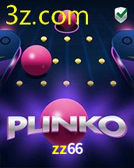 ZZ66.COM