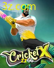 ZZ66.COM